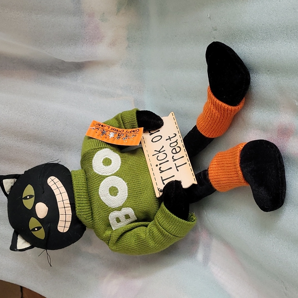 Halloween kitty in own "BOO" sweater,  holding " TRICK or TREAT" sign!